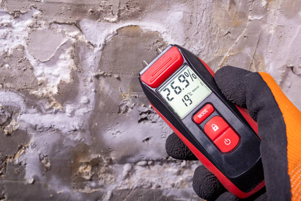 Best Affordable Mold Removal  in Garden View, PA