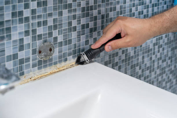 Best Mold Removal Company Near Me  in Garden View, PA